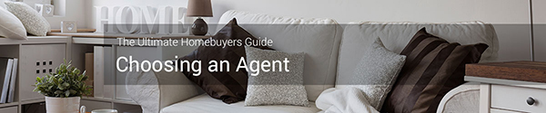 Choosing-Agent_banner