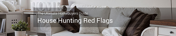 Red-Falgs_banner