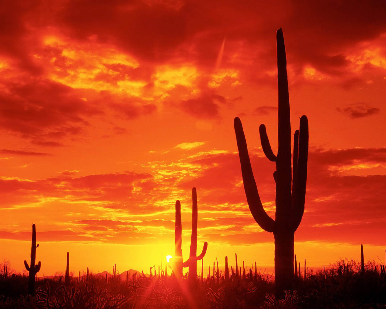 Tucson Property Tax How Does It Compare to Other Major Cities?