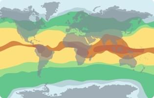 Temperate - dry/warm summer