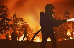 Wildfires